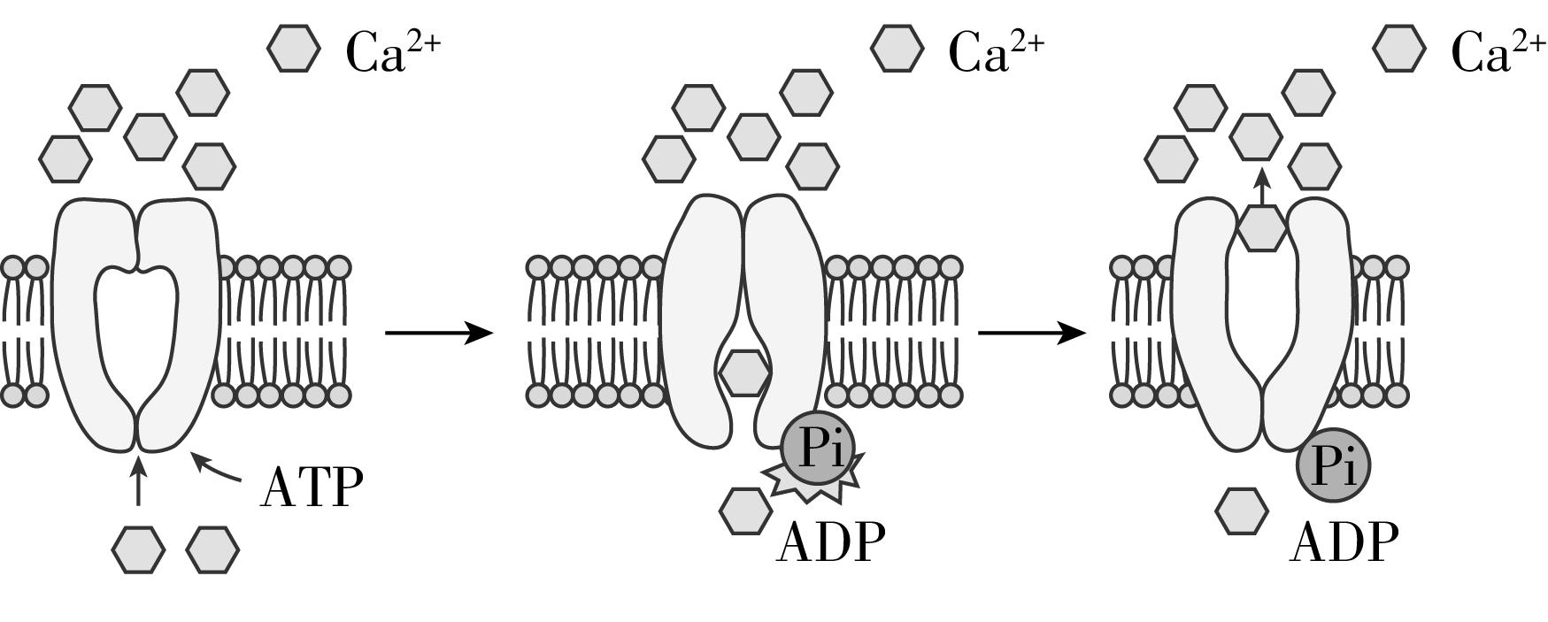试题资源网 https://stzy.com