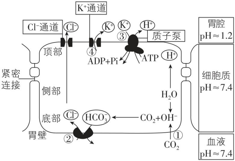 试题资源网 https://stzy.com