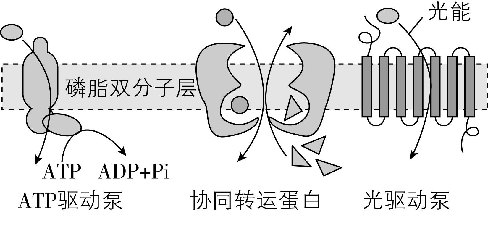 试题资源网 https://stzy.com