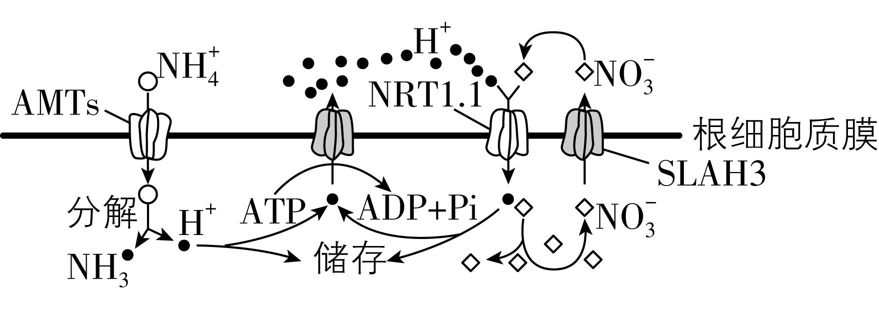 试题资源网 https://stzy.com