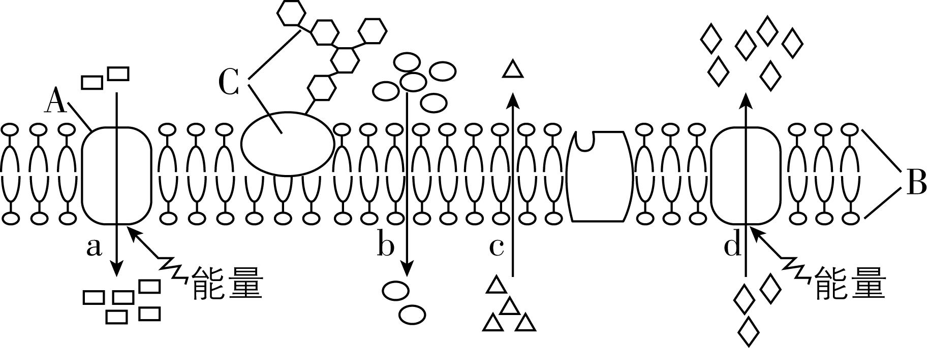 试题资源网 https://stzy.com