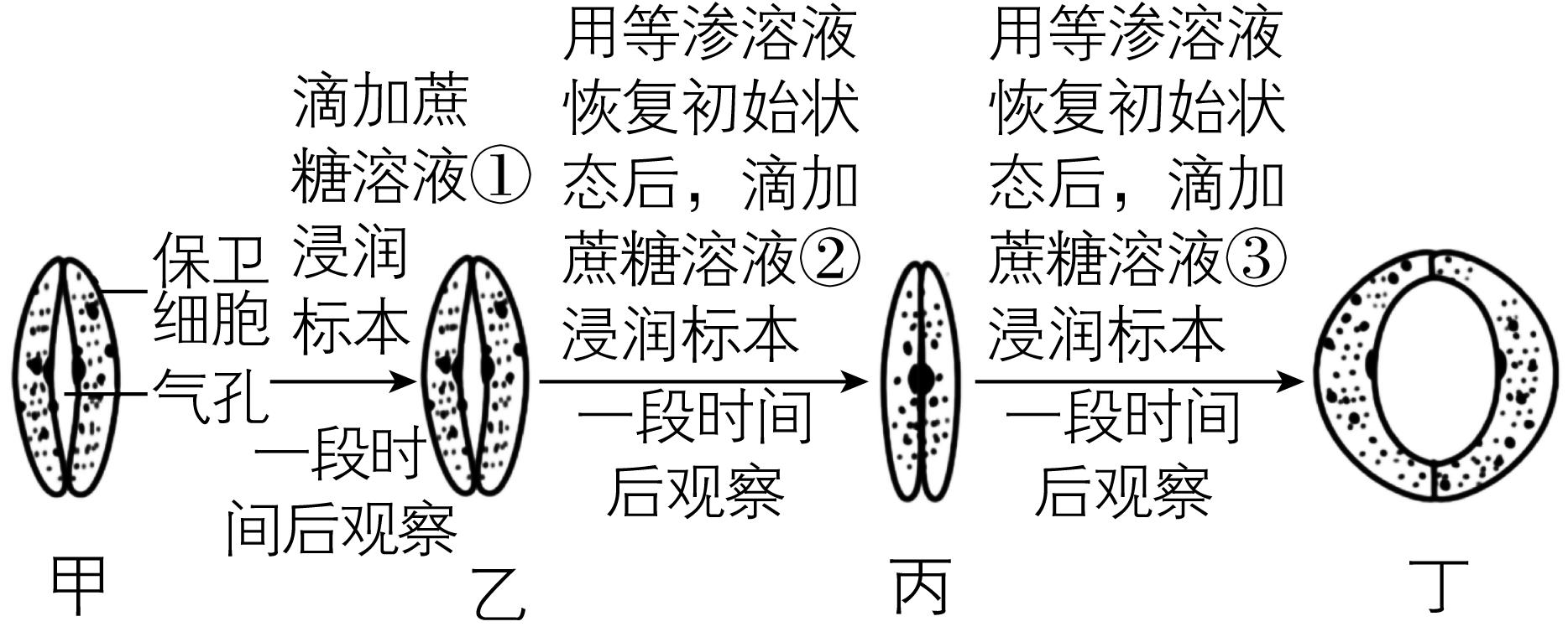 试题资源网 https://stzy.com