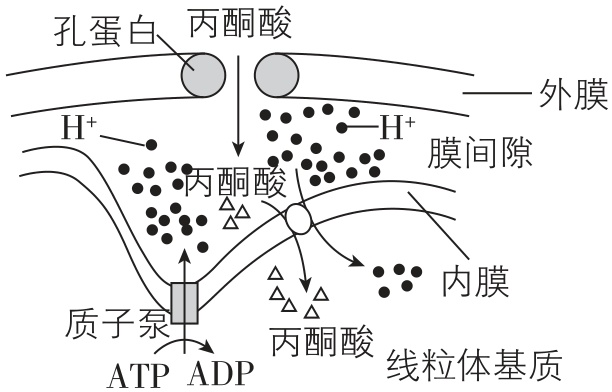 试题资源网 https://stzy.com