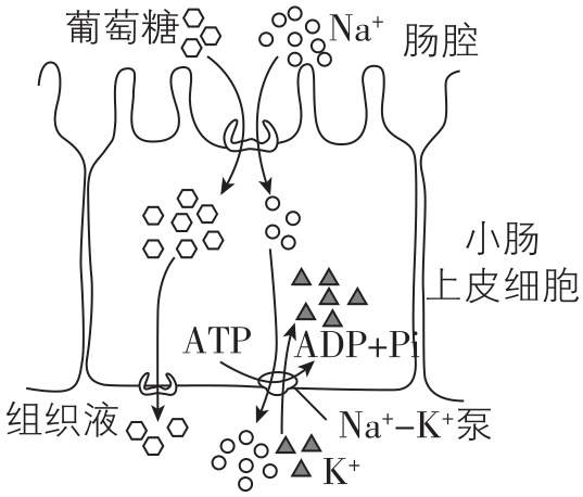 试题资源网 https://stzy.com