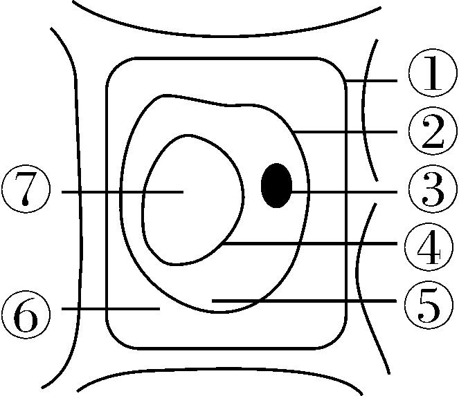 试题资源网 https://stzy.com
