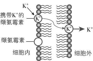 试题资源网 https://stzy.com