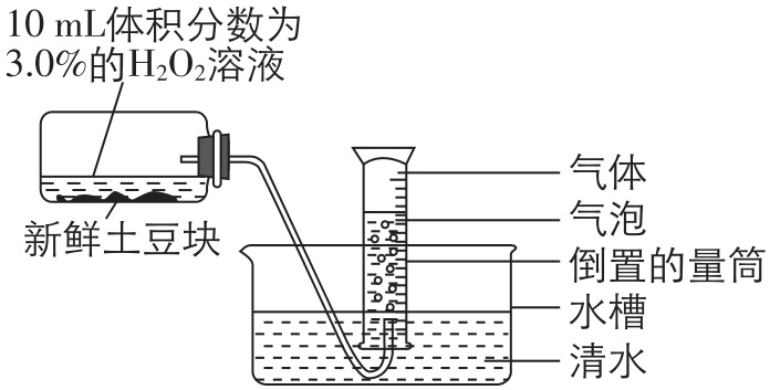 试题资源网 https://stzy.com