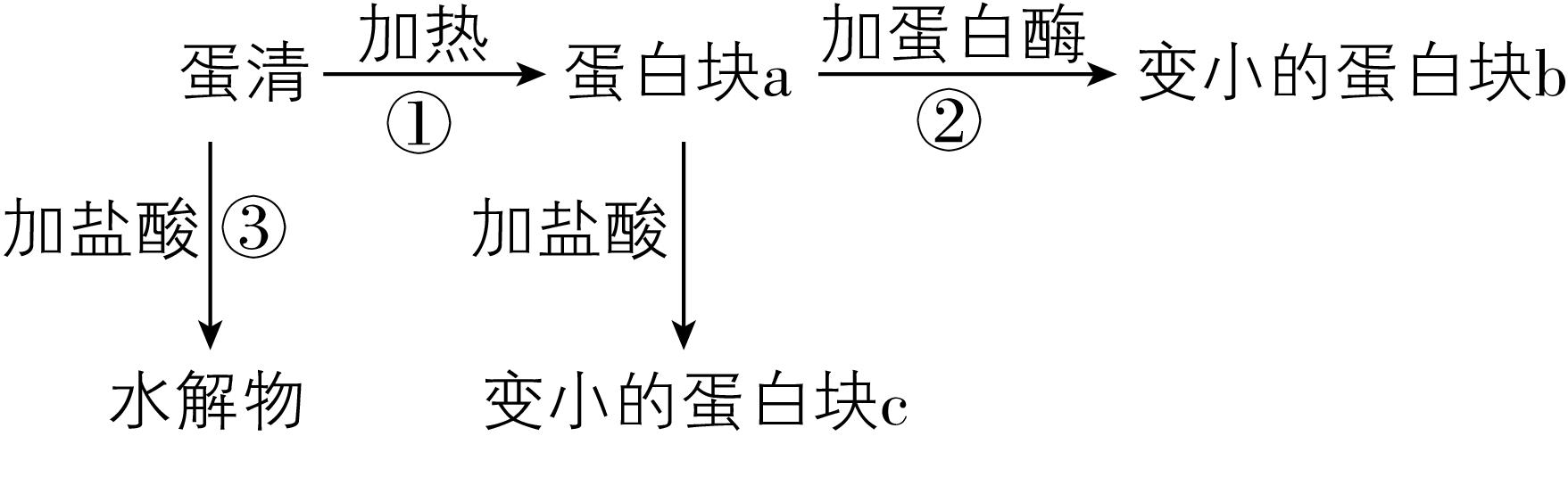 试题资源网 https://stzy.com