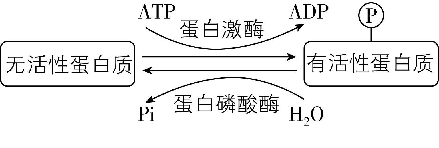 试题资源网 https://stzy.com