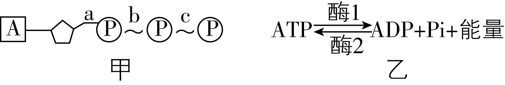 试题资源网 https://stzy.com