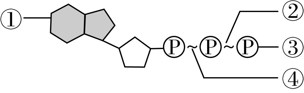 试题资源网 https://stzy.com
