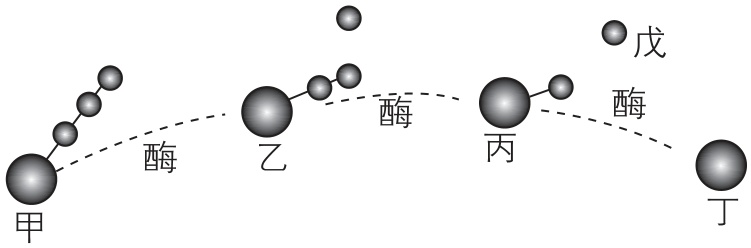 试题资源网 https://stzy.com
