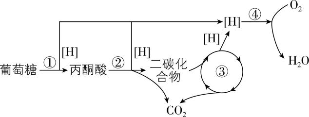 试题资源网 https://stzy.com