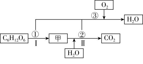 试题资源网 https://stzy.com