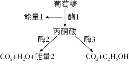 试题资源网 https://stzy.com