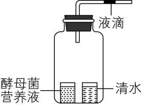 试题资源网 https://stzy.com