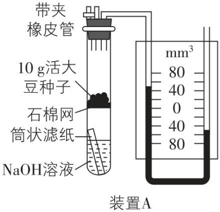 试题资源网 https://stzy.com
