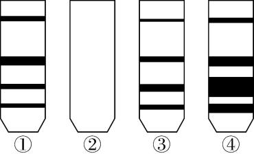 试题资源网 https://stzy.com