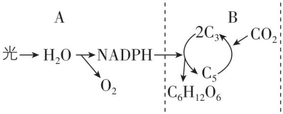 试题资源网 https://stzy.com