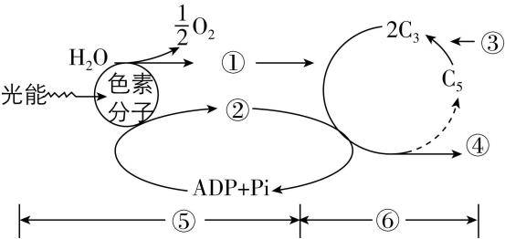 试题资源网 https://stzy.com