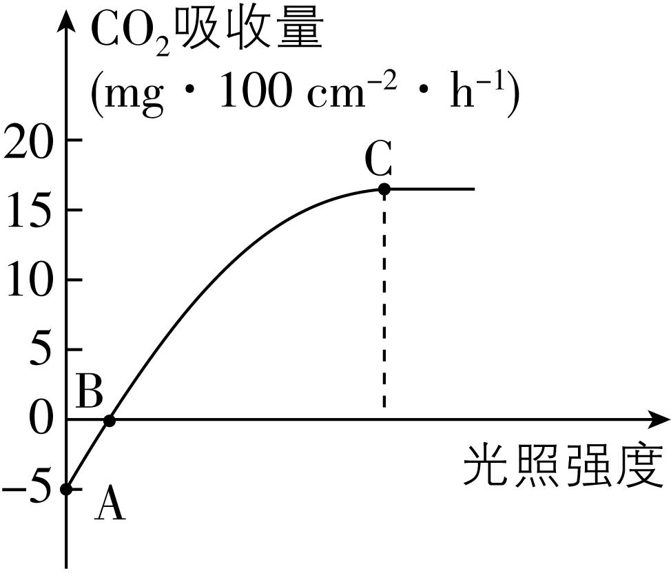 试题资源网 https://stzy.com