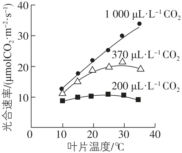 试题资源网 https://stzy.com