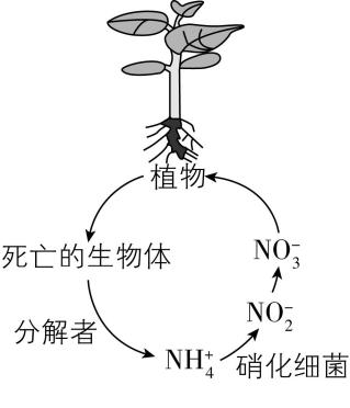 试题资源网 https://stzy.com