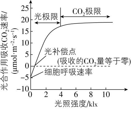 试题资源网 https://stzy.com