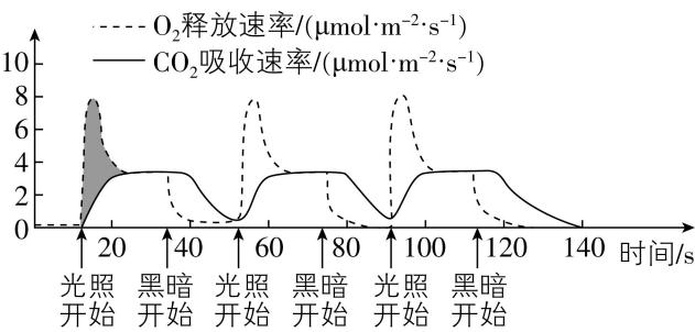 试题资源网 https://stzy.com