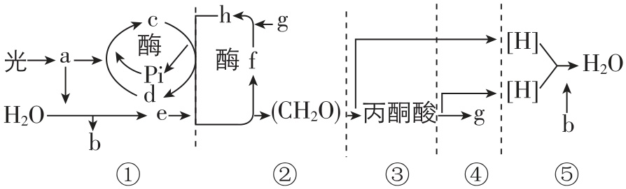 试题资源网 https://stzy.com