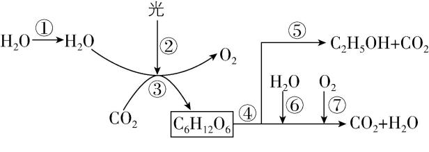 试题资源网 https://stzy.com