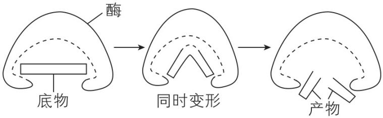 试题资源网 https://stzy.com