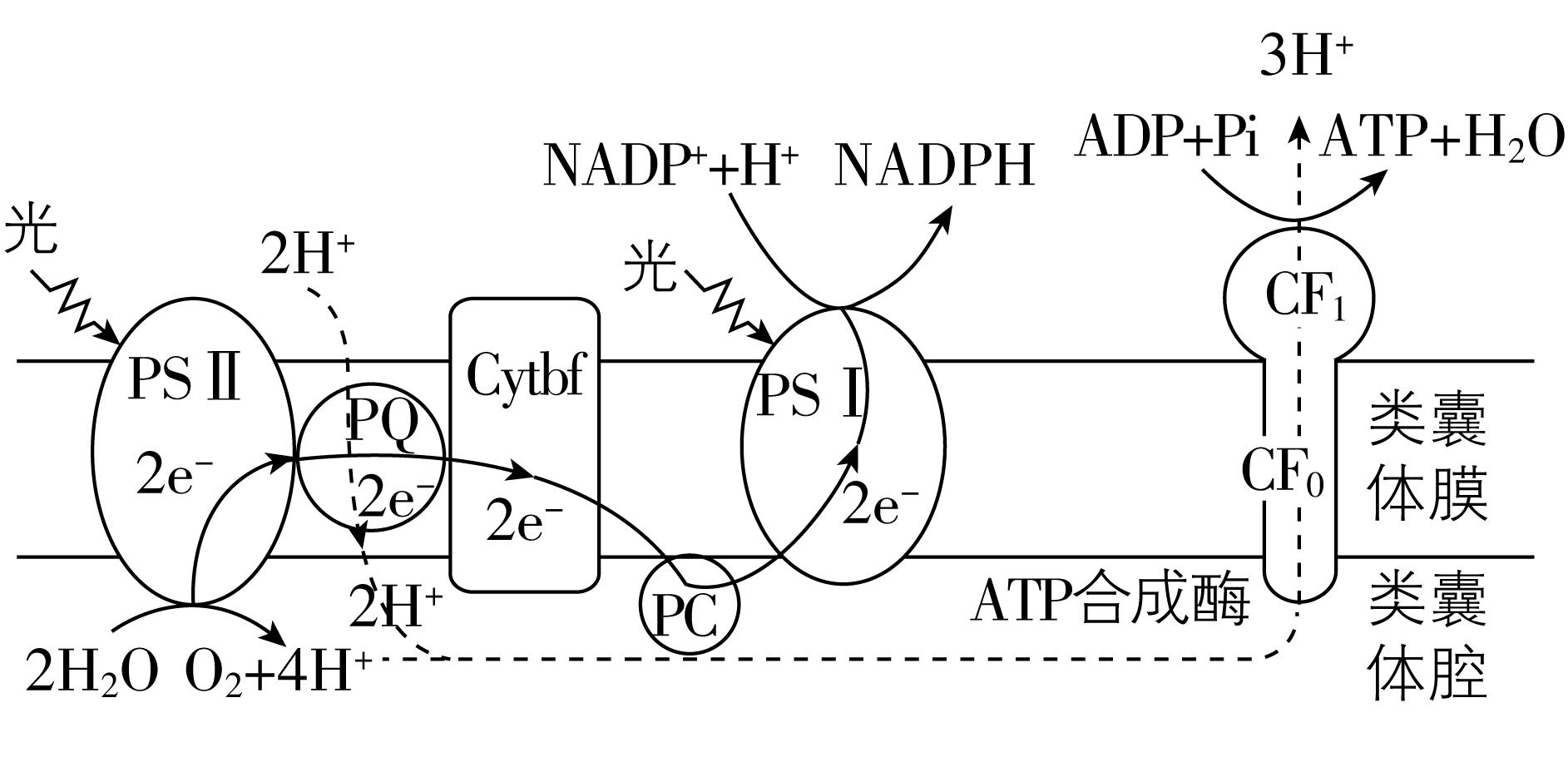 试题资源网 https://stzy.com