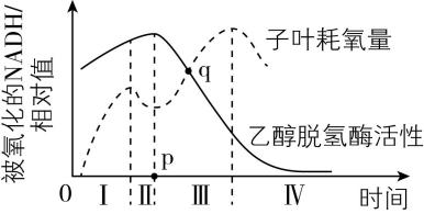 试题资源网 https://stzy.com