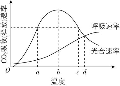 试题资源网 https://stzy.com