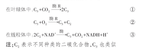 试题资源网 https://stzy.com