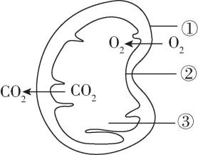 试题资源网 https://stzy.com
