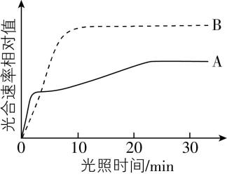 试题资源网 https://stzy.com