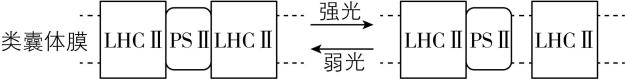 试题资源网 https://stzy.com