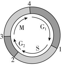 试题资源网 https://stzy.com