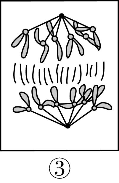 试题资源网 https://stzy.com