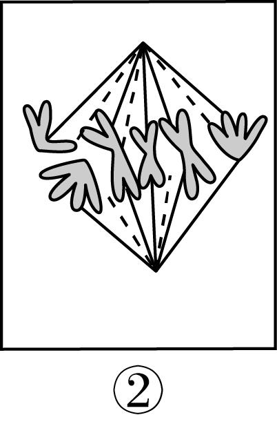 试题资源网 https://stzy.com