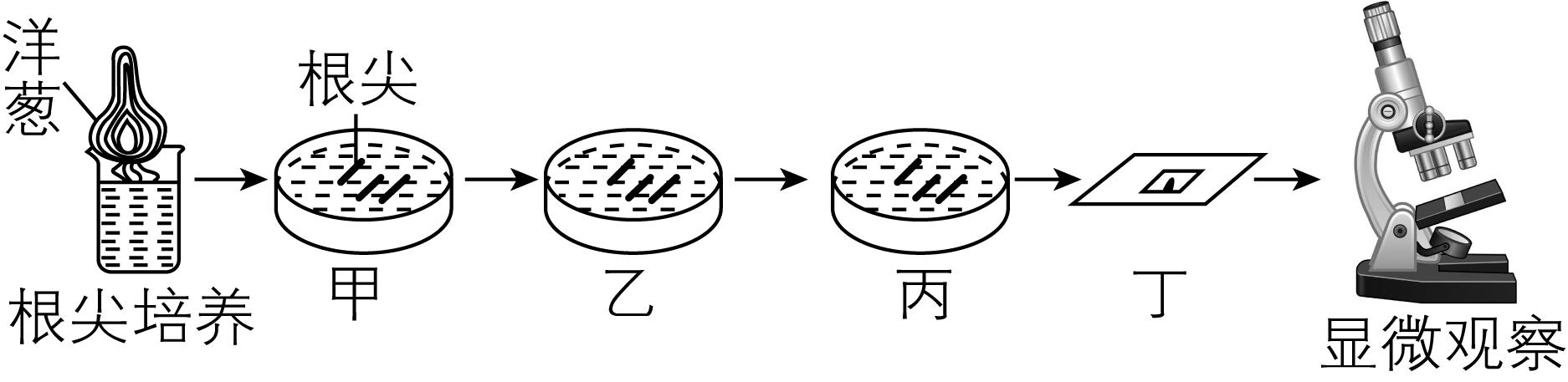 试题资源网 https://stzy.com