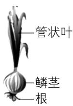 试题资源网 https://stzy.com