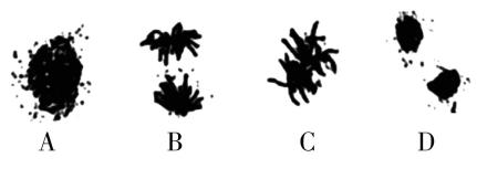 试题资源网 https://stzy.com