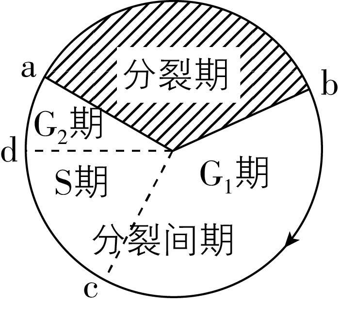 试题资源网 https://stzy.com