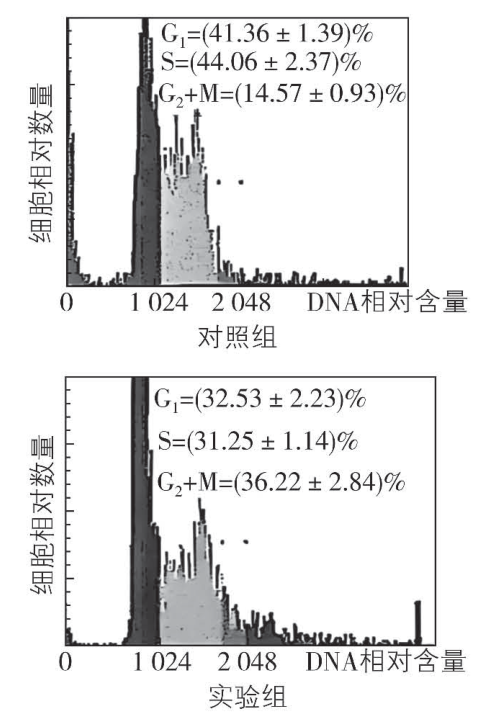 试题资源网 https://stzy.com