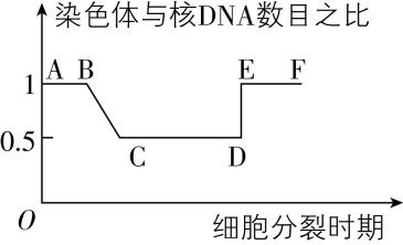 试题资源网 https://stzy.com