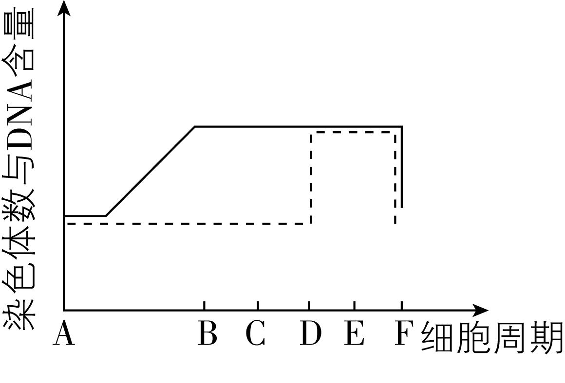 试题资源网 https://stzy.com