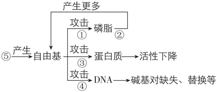 试题资源网 https://stzy.com